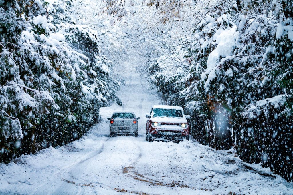 Two cars navigating a heavily snow-covered path in a pine forest during winter in Konya, Turkey.